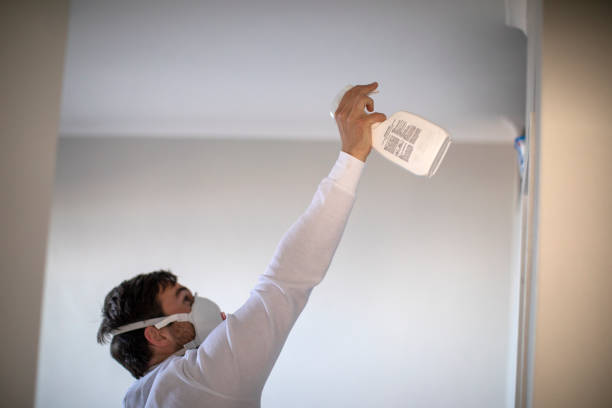 Best Home Mold Removal  in Laton, CA