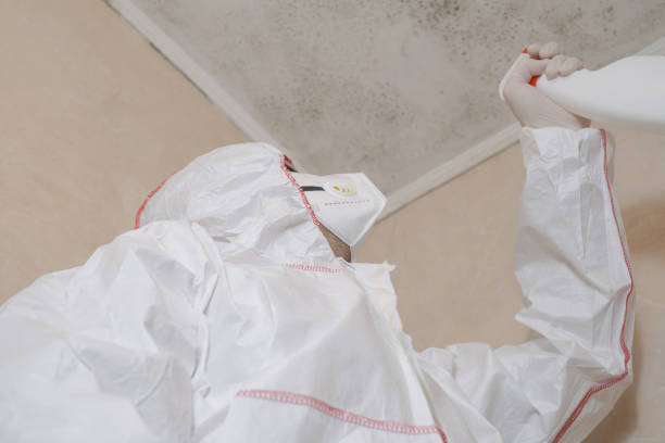 Best Office Mold Removal Services  in Laton, CA