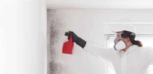 Best Commercial Mold Removal  in Laton, CA